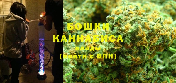 ПСИЛОЦИБИНОВЫЕ ГРИБЫ Алзамай