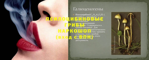 ПСИЛОЦИБИНОВЫЕ ГРИБЫ Алзамай