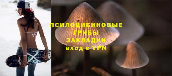 скорость Алексин