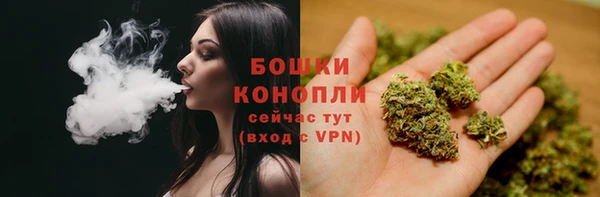 ПСИЛОЦИБИНОВЫЕ ГРИБЫ Алзамай