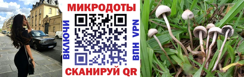 магазин продажи наркотиков Апатиты ОМГ ОМГ ссылка Псилоцибиновые грибы Psilocybine cubensis