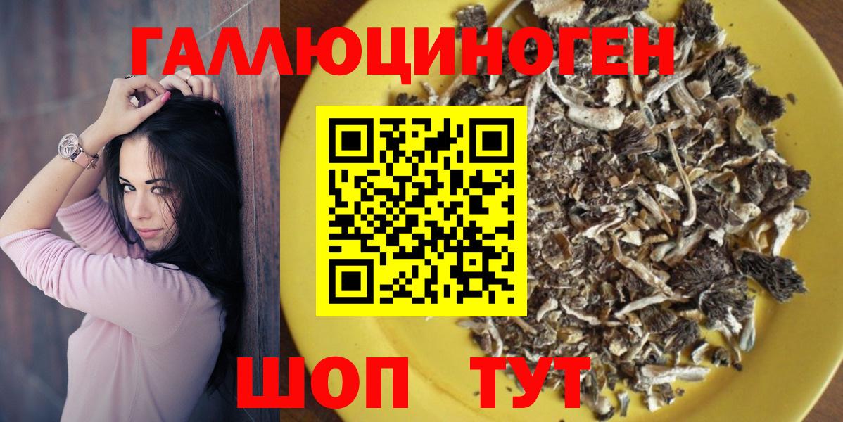 Галлюциногенные грибы мицелий Апатиты