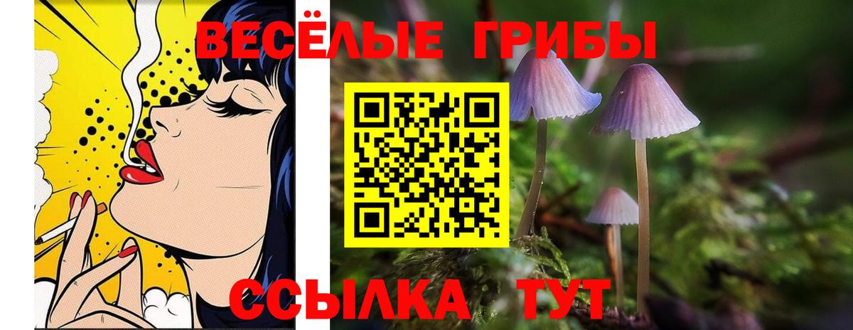 Апатиты  Галлюциногенные грибы MAGIC MUSHROOMS  Вход с VPN 